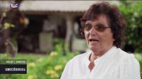 Unicórnios: a Feedzai tem sede em Portugal, mas combate o crime financeiro no mundo todo