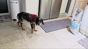 38K views · 1.2K reactions | Tough day with the last minute...