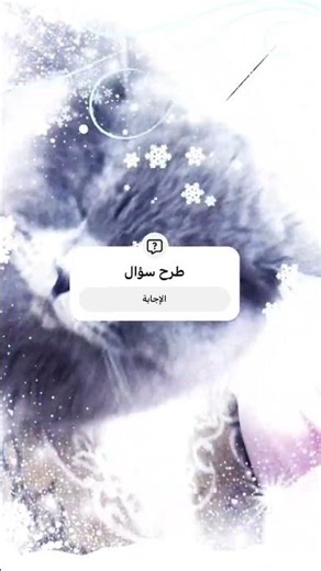 ١٥ كانون الثاني، ٢٠٢٦