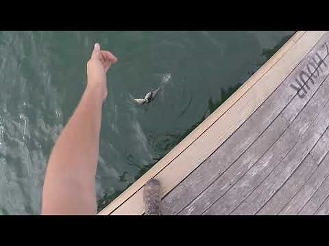 Fishing in Acadia National Park