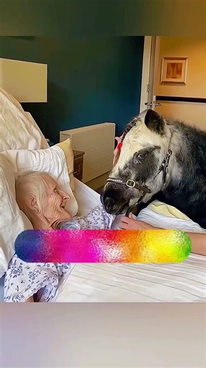 #vikramsarkar(Credit: @Zack D. Films)