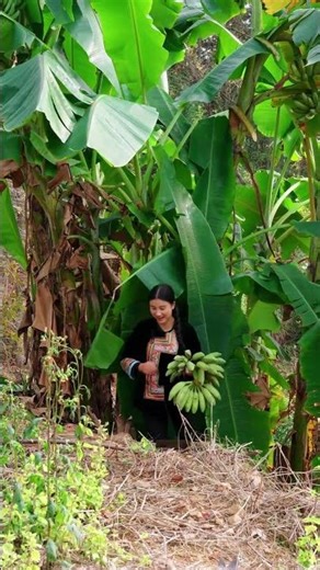 Village Girl Harvests Banana Heart From Forest | Cooking Banana Core For Mom