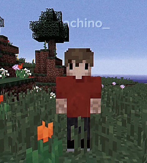 Grian Builds: Minecraft Rustic House with NPC & Grumbot