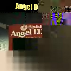 Angel Delight - 1980s Advert | Classic British TV and Cinema adverts