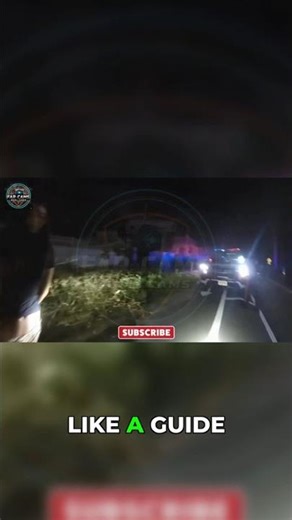 Drunk Driver Tries to Flex Her Cheerleader Skills