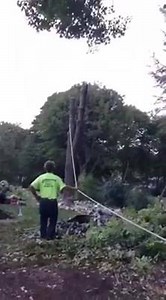 Tool Box Buzz on Reels