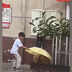 When your dog is not a Pet Cute dog and human are best friends | Pawsome Pups