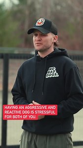 30K views · 548 reactions | Is your dog aggressive AND reactive? Ask yourself what you’ve done to let them know that their inappropriate behavior is a NO-GO.  #upstatecanine #dogtraining #dogtrainingtips #dogtrainingadvice | Tom Davis Dog Training | Facebook