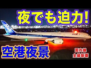 【空港夜景】夜でも大迫力の福岡空港！きらびやかな飛行機を目の前で見る、最高のスポット！[国内線制覇 スピンオフ]