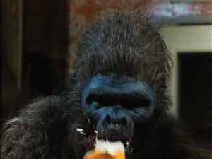 SCHLOCK: DAS BANANENMONSTER (1973) - Deutscher Trailer