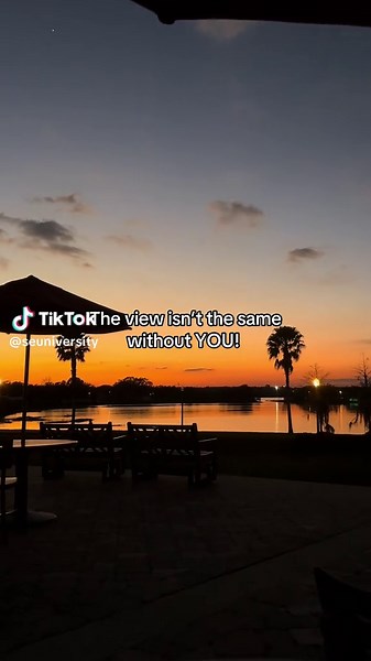 Come to SEU and this could be your view every night! 🤭 #view #florida #college