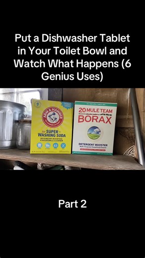 Put a Dishwasher Tablet in Your Toilet Bowl and Watch What Happens (6 Genius Uses)
