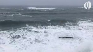 Devils Punchbowl is a popular spot at low tide, when visitors can hike inside the collapsed sea cave, but when the ocean is high it’s a dramatic place to watch waves crash against the rocky headland. Video taken Jan. 18, 2019. | The Oregonian