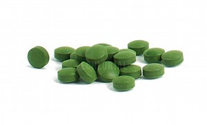 Chlorella Usage and Contraindications (2026)