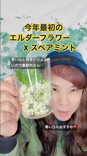 ついに咲いた‼️今年最初のエルダーフラワー✖️スペアミントのホットティー。ハーブ農家直伝、美肌と温活ブレンド#ハーブ番長 #ハーブ農家 #エルダーフラワー #ハーブティ