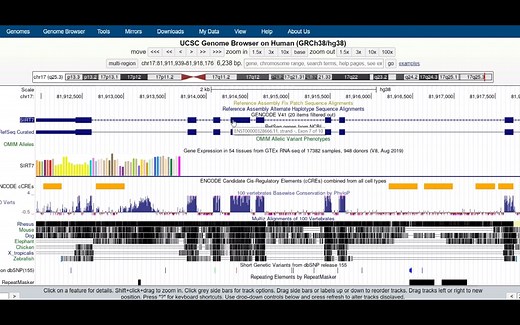 基因(组)序列获取方法——UCSC vs NCBI