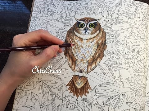 OWLS DRAWING / COLORING WITH COLORED PENCILS | SECRET GARDEN
