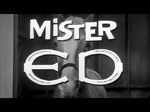 Classic TV Theme: Mister Ed