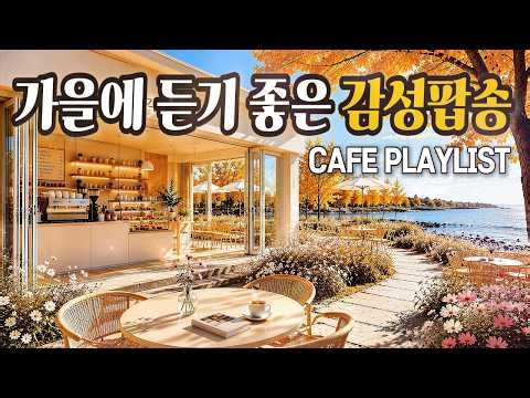 [중간광고❌] 가을엔 그냥 틀어두세요 🍂 카페에서 듣기 좋은 노래 | 중간광고없는 카페음악 | Cozy Cafe Music 2026.09.14