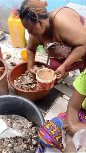 Extraction de la bave d'escargot : Guide pratique