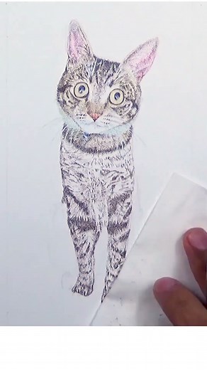 【ボールペンで描く愛犬愛猫】むぎ（キジトラ） #art #pointillism #catsvideo