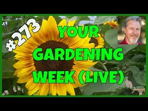 Composting 101 (Q&A)