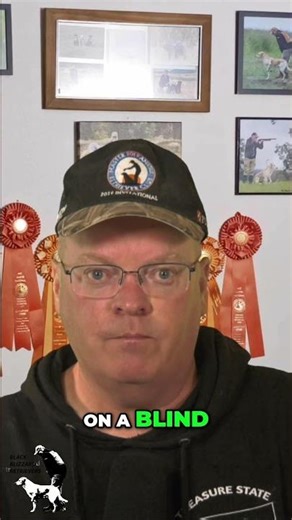 Most Trainers Get This Wrong: Confusion vs Defiance #dogtraining #retrievertraining #k9