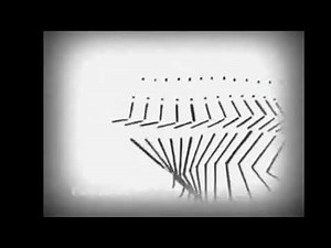 L’Homme Machine (The Machine Man) (1885) Etienne-Jules Marey