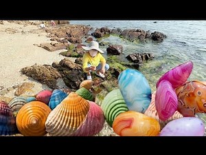 The Ultimate Pearl Oyster Guide: From Beach to Kitchen.Lots of pearl snails and crystal agate