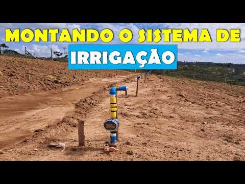 💧 Drip Irrigation System in the Vineyard - How it Works 🍇