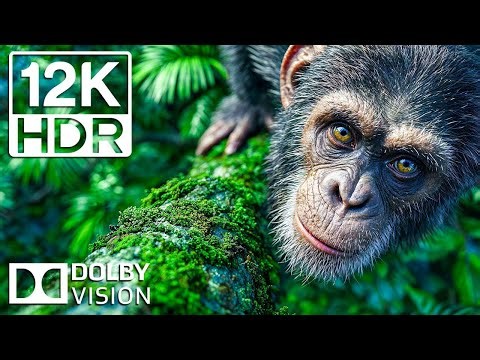 The AMAZING Truth About Nature Sounds Nobody Tells You