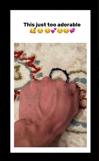 Just for that "meow" I watched it like a thousand times. 🤣🤣#viral #funny #trending #shorts