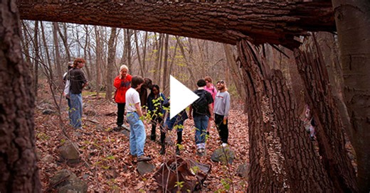 Love Insects? This Club’s for You