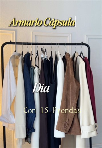 Armario Cápsula Día 5/15 con solo 15 Prendas #asesoradeimagen #armariocapsula #ootd #otoño2025 #LookMinimalista @LILYSILK