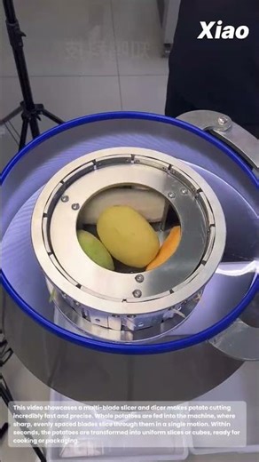 Multi blade slicer & dicer finishes in seconds: fastest way potato slice cutting process