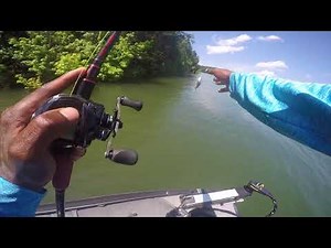 This Topwater is Totally Different!!! You have to Try the Stutterstep!!!