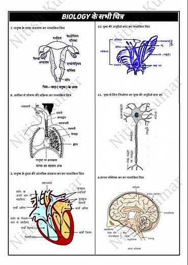 Class 10th biology all figures || biology का सभी चित्र || #बायोलॉजी #class10th#allfigure#science
