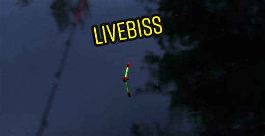 Nachtangeln: Unglaubliche Störfänge mit Aalockstoff