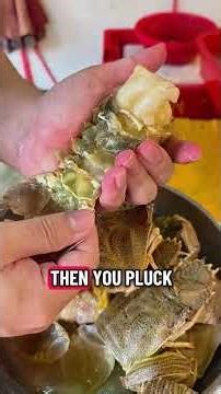 Crayfish she'll can like that peel?