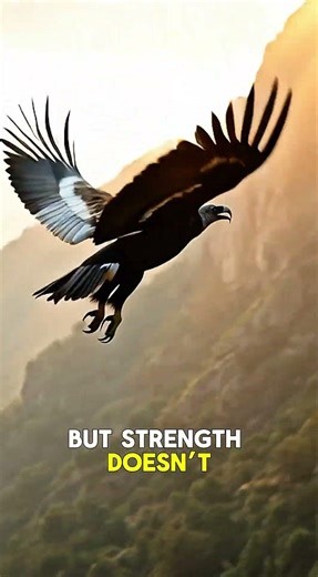 10-Foot Wings in the Sky 🦅 | California Condor #wildlife #usashorts #california #condor #birds #usa