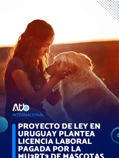 Un proyecto de ley presentado en el Parlamento de Uruguay propone otorgar un día hábil de licencia remunerada a trabajadores del sector público y privado que sufran la pérdida de una mascota. La iniciativa fue impulsada por el diputado Luis Marcelo Pérez y busca incorporar este derecho al régimen general del trabajo, reconociendo el impacto emocional que genera el fallecimiento de un animal de compañía en las familias contemporáneas. El texto establece que la licencia tendrá como finalidad brind