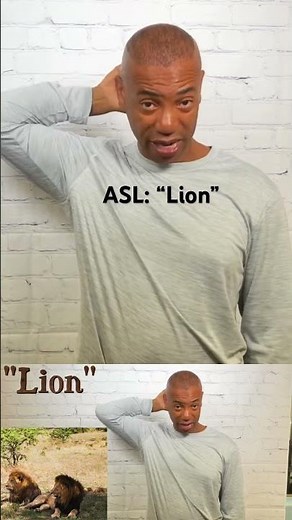 How to sign “Lion” in ASL
