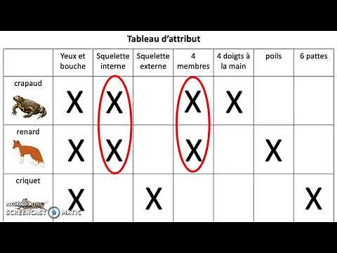 Classification scientifique Etape 2