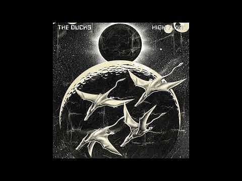 The Ducks - Truckin' Man (Live)
