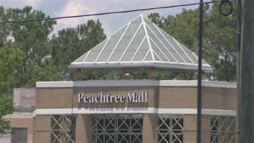 Columbus Police arrest 2 in viral Peachtree Mall fight