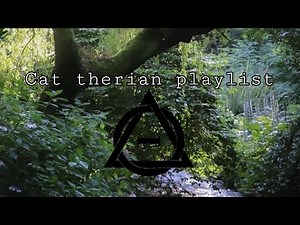 ✮ ⋆ ˚｡ cat therian playlist ⋆｡°✩