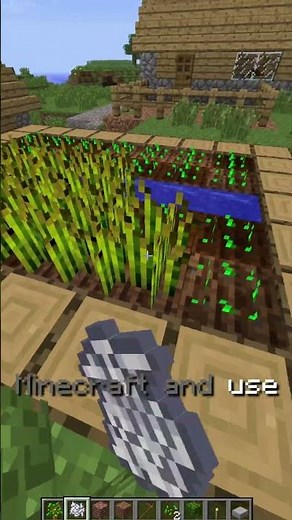 Bone Meal Used to Instantly Grow Trees in Minecraft