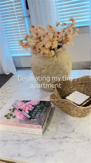 How to make a tiny apartment look huge ✨ #interiordesign #dallasapartments