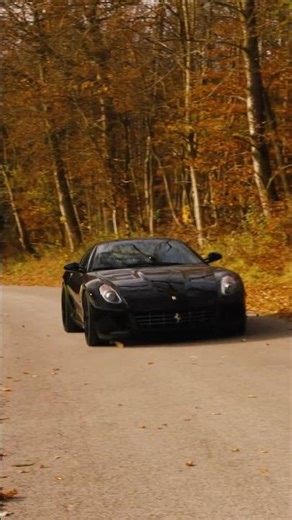 The "little" Ferrari ENZO