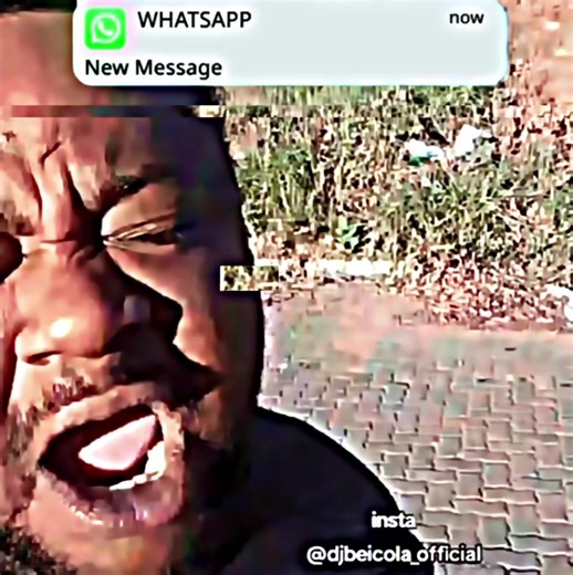 Mensagem Criativa para WhatsApp com Edição Especial